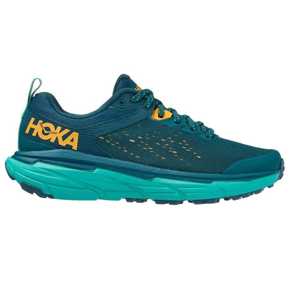 Womens Hoka One One Challenger ATR 6 (D Wide) - The Running Company ...